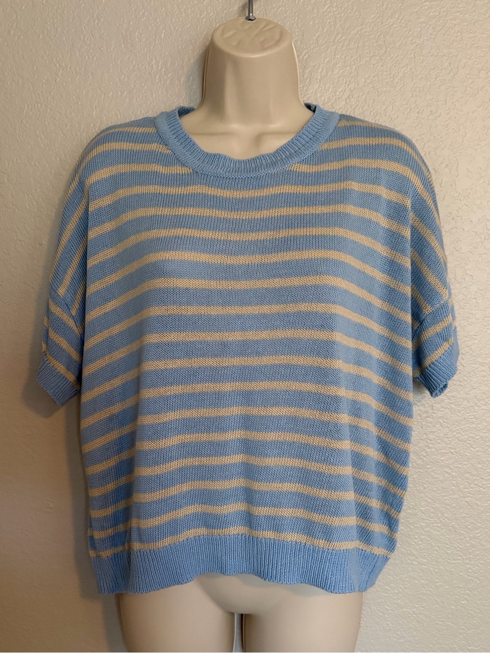 Wishlist Blue and Tan Striped Short-Sleeve oversized Sweater